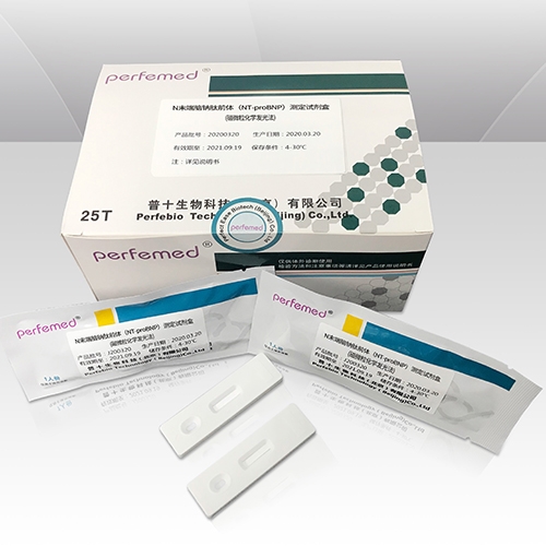 n末端腦鈉肽前體檢測(cè)試劑盒